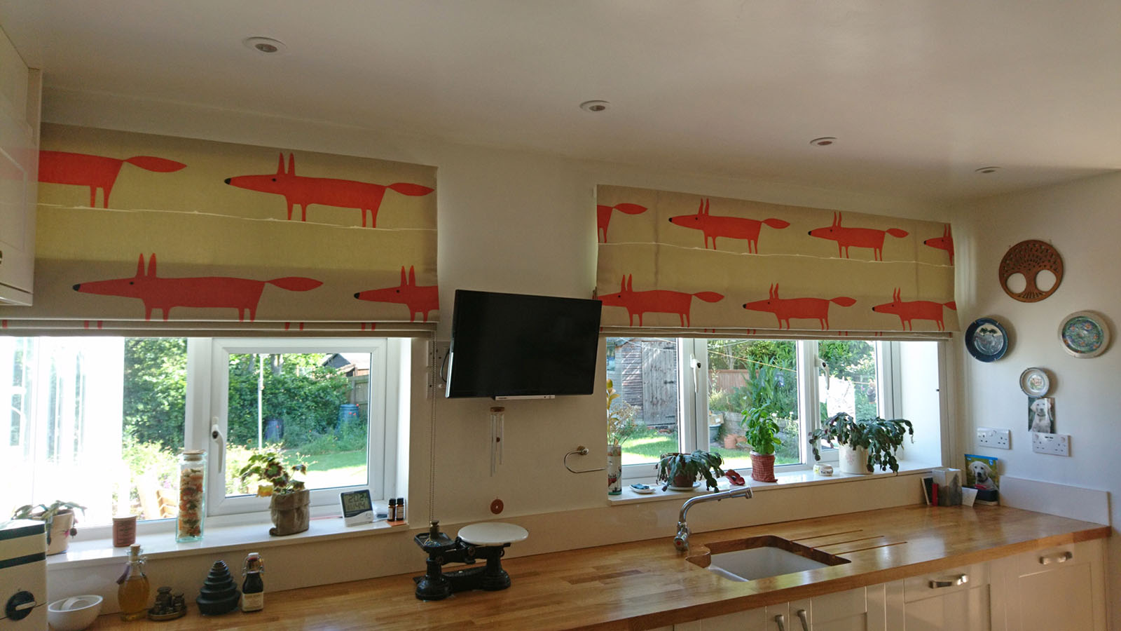 Fox roman blinds